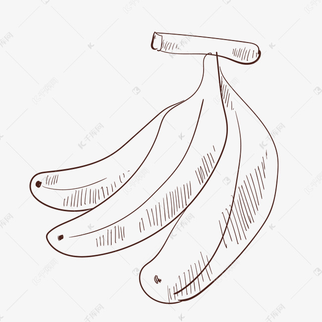 线描水果三根香蕉