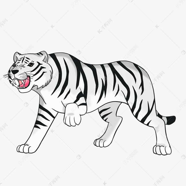 白老虎的画法图片