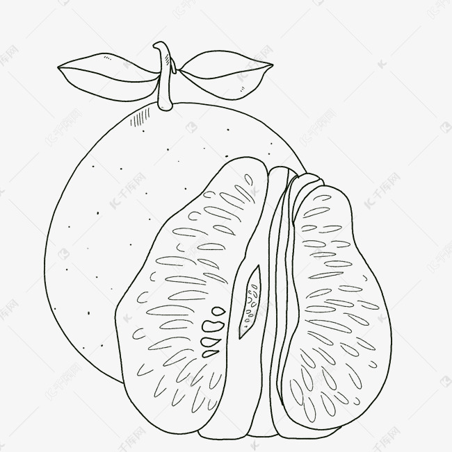 线描食物柚子