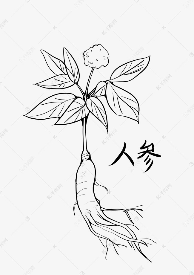 中药的简笔画简单图片