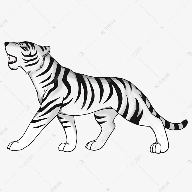 白老虎的画法图片