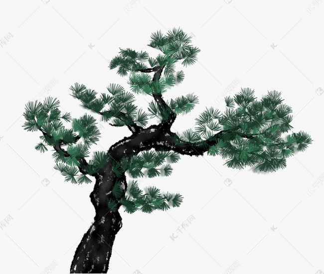 冬天水墨风松柏插画素材图片免费下载-千库网