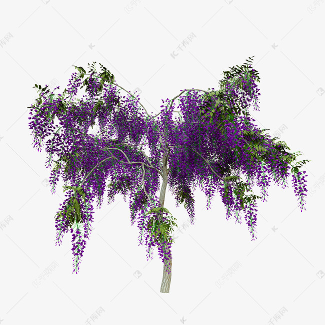 一树紫藤花素材图片免费下载-千库网