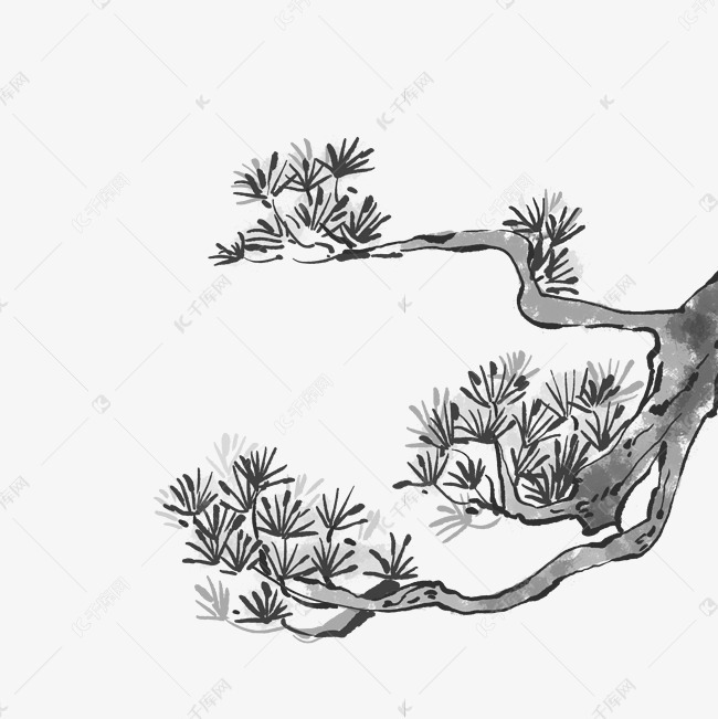 水墨松枝水墨画
