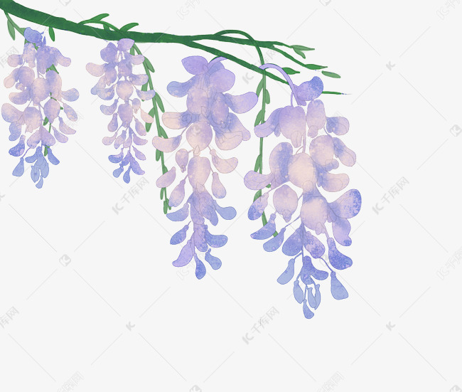 手绘一树紫藤花插画素材图片免费下载 高清卡通手绘psd 千库网 图片编号 手绘一树紫藤花插画素材图片免费下载 高清卡通手绘psd 千库网 图片编号