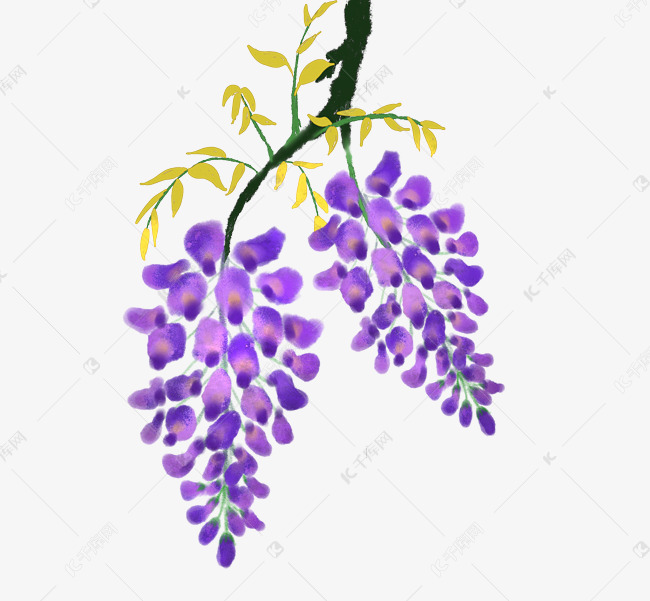 紫藤花手绘插画素材图片免费下载 高清卡通手绘psd 千库网 图片编号
