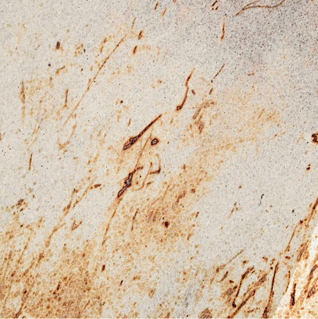 脏旧纸张素材图片免费下载-千库网