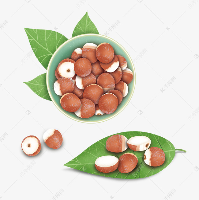 芡实养生食材素材图片免费下载-千库网