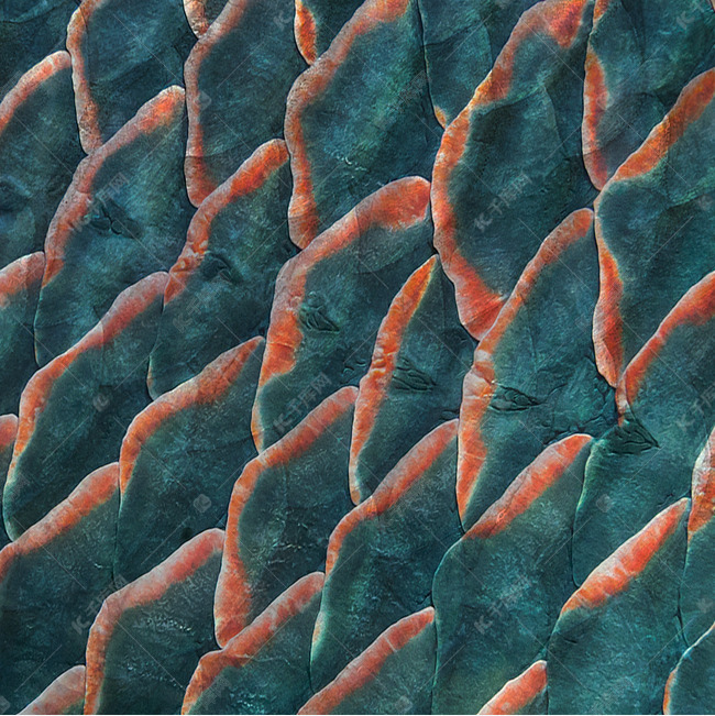 墨绿色鱼鳞表面素材图片免费下载-千库网