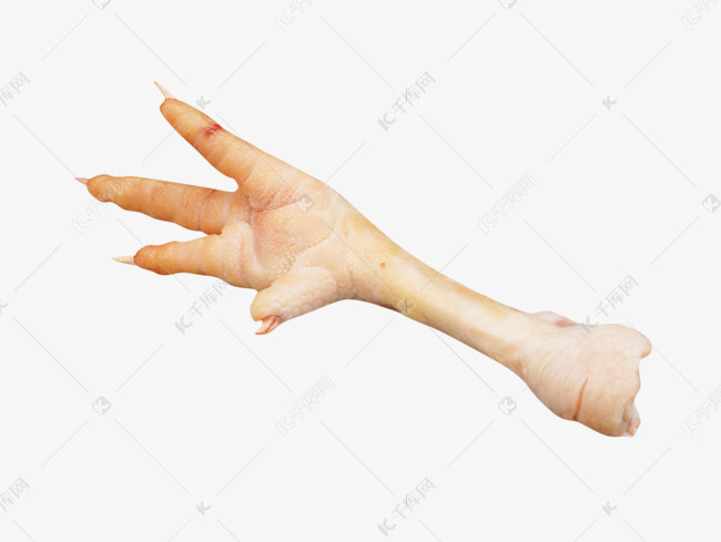 鸡肉食材鸡爪