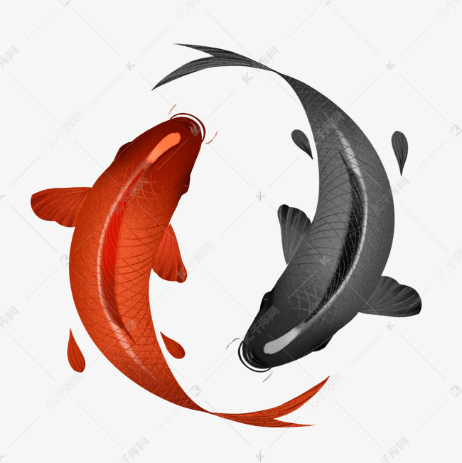 太极水墨国潮锦鲤