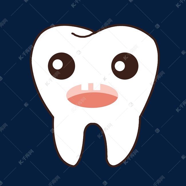 牙科拟人牙齿