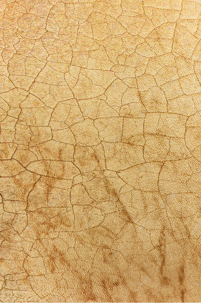 黄色皮革质感纹理素材图片免费下载-千库网