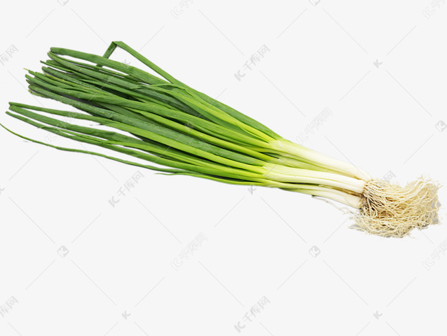 绿色蔬菜小葱素材图片免费下载-千库网