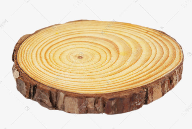 木头木桩素材图片免费下载-千库网