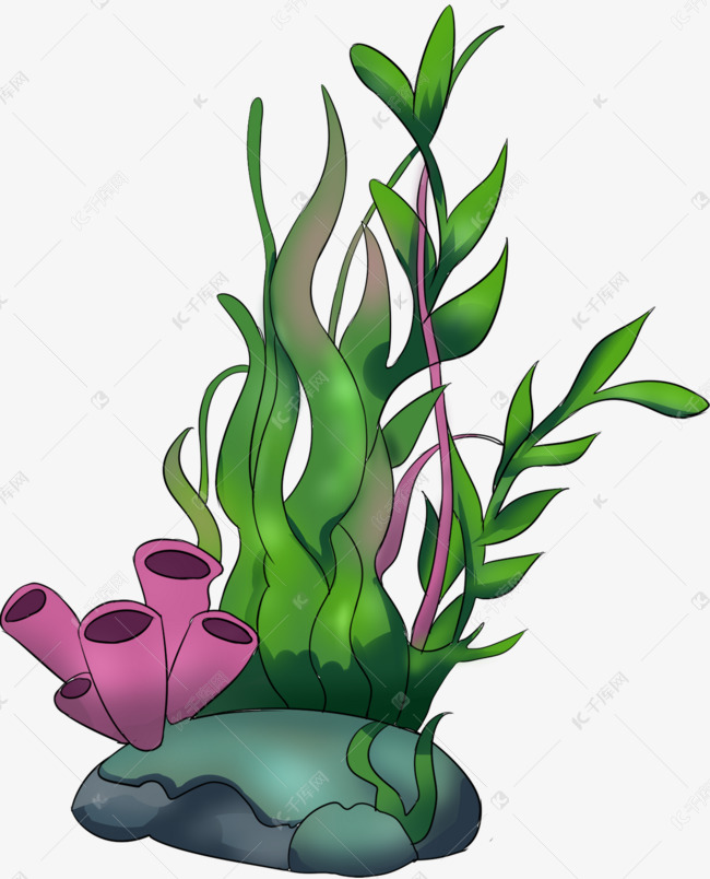 手绘一丛海藻