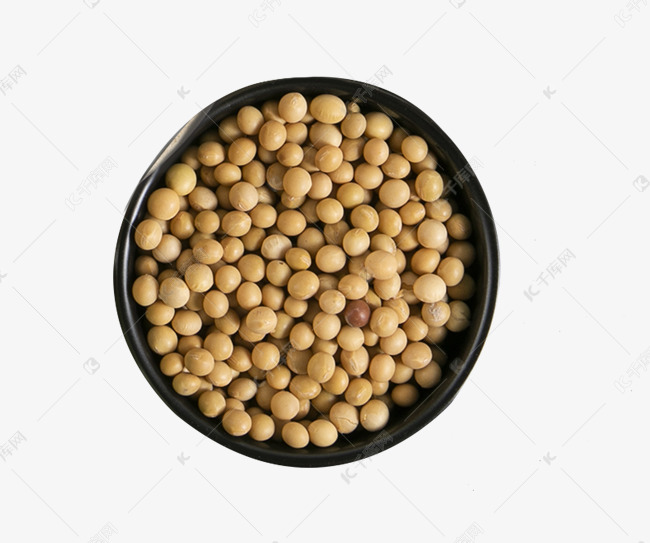 素材来源:&copy;千库网商用版权素材(图片编号:96873)       大豆黄豆