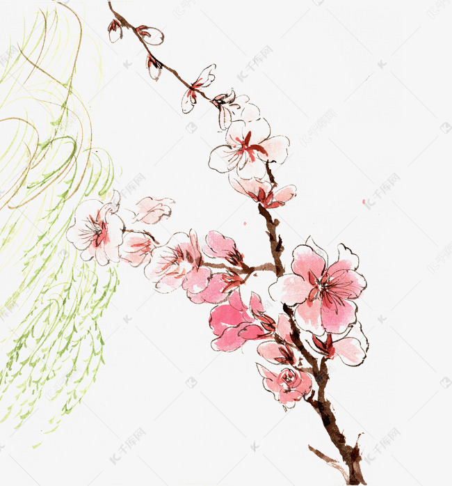 春天的柳枝与桃花