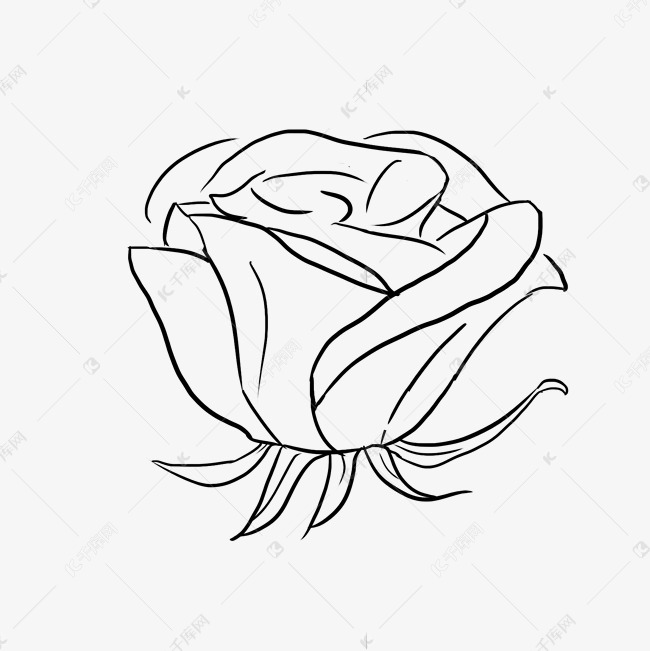 线描鲜花玫瑰花素材图片免费下载-千库网