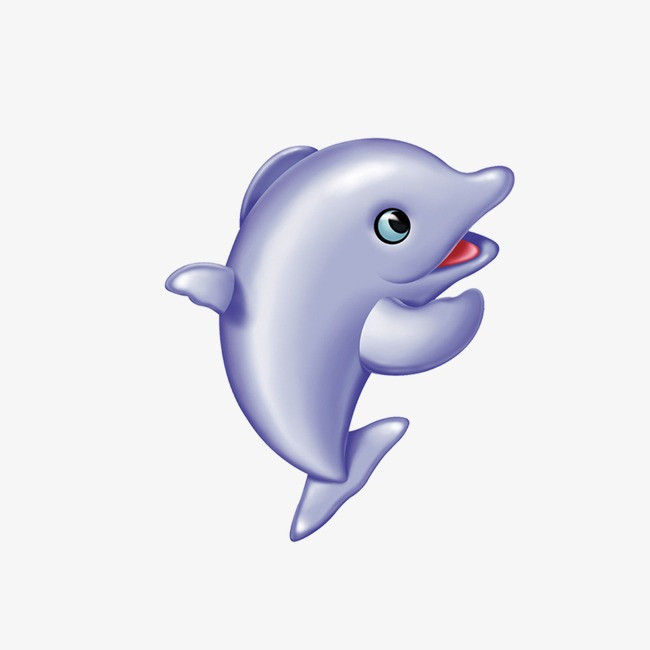 海豚