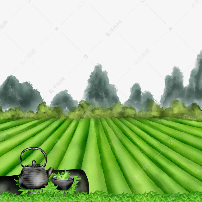 手绘茶山茶叶