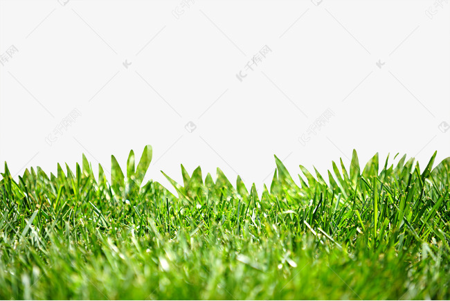 绿色草坪草地素材图片免费下载-千库网