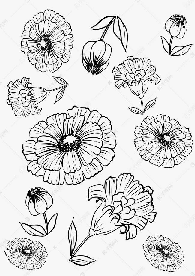 线性花朵花纹