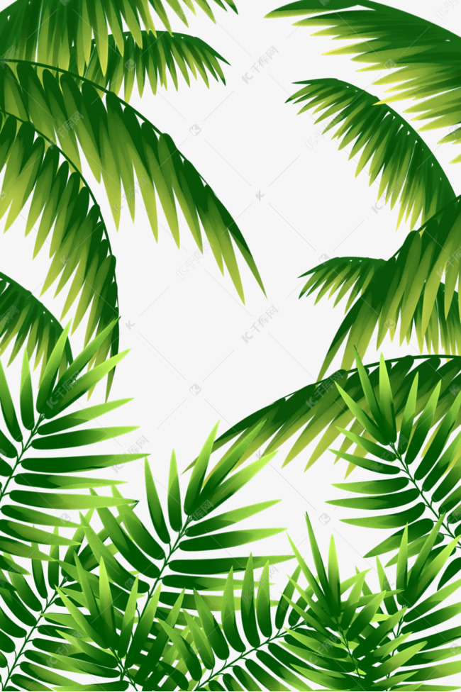 棕榈叶底纹素材图片免费下载-千库网