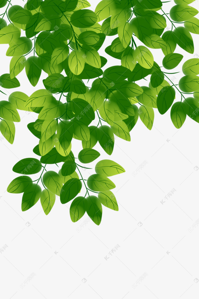 绿色树叶底纹素材图片免费下载-千库网