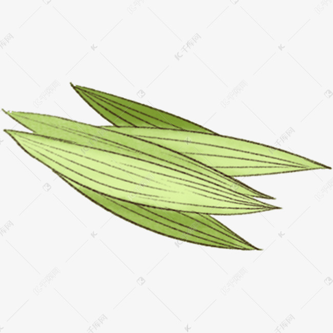 绿色粽叶