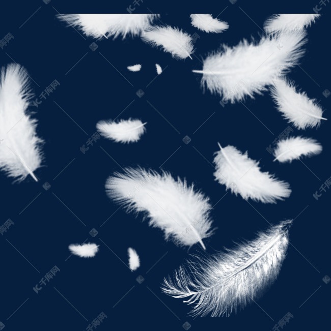 白色半透明动物羽毛轻轻掉下