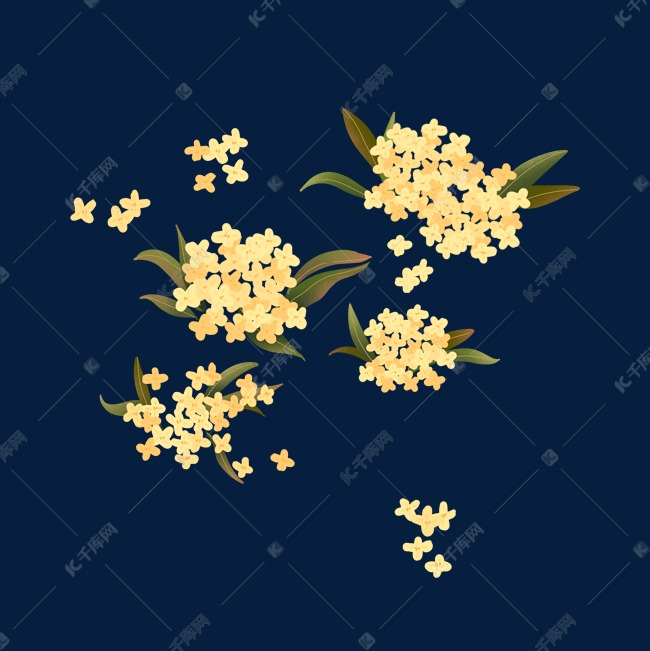 桂花通用手绘素材