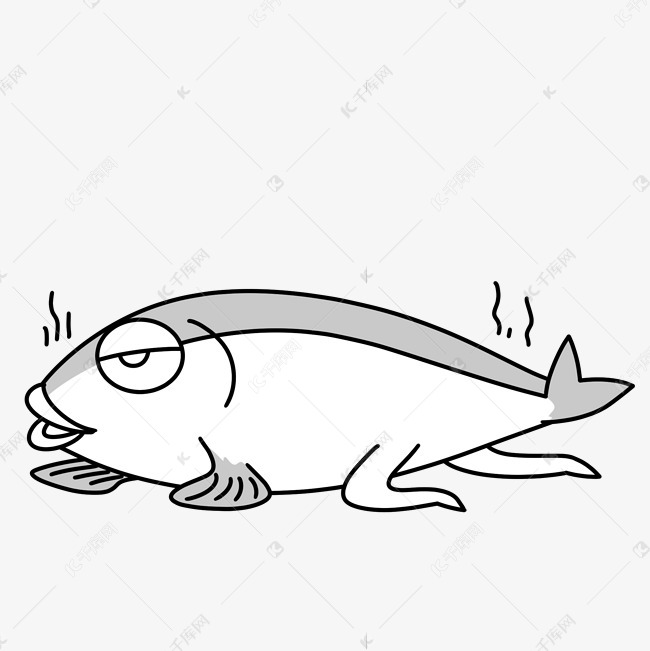 水生物小鱼死鱼