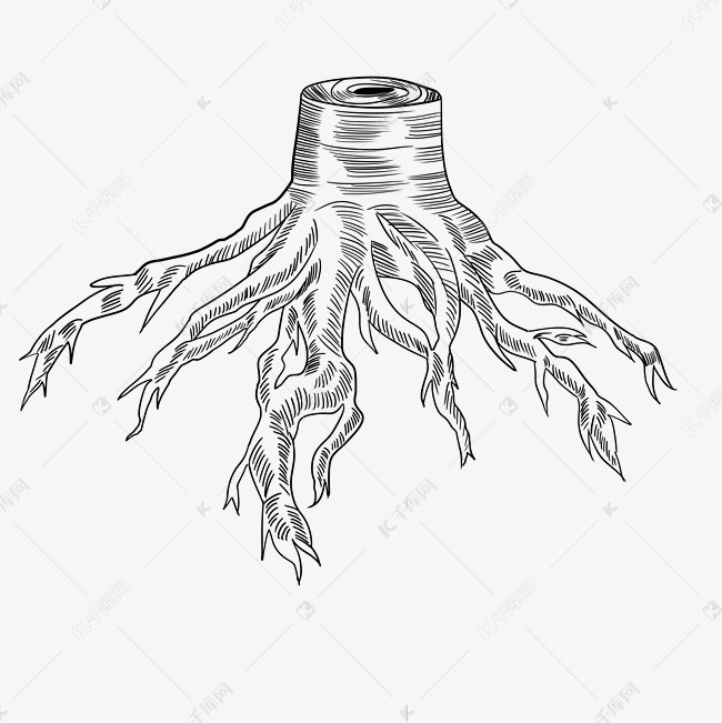 线描树根枯树