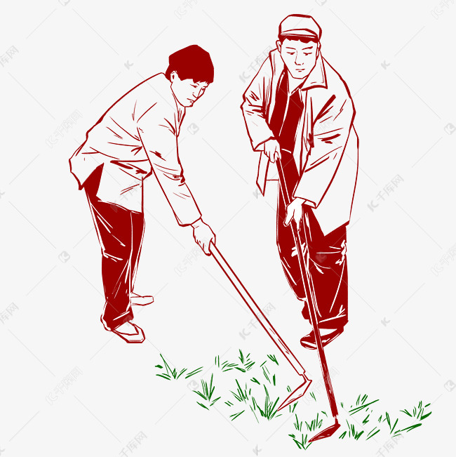 下乡农民除草