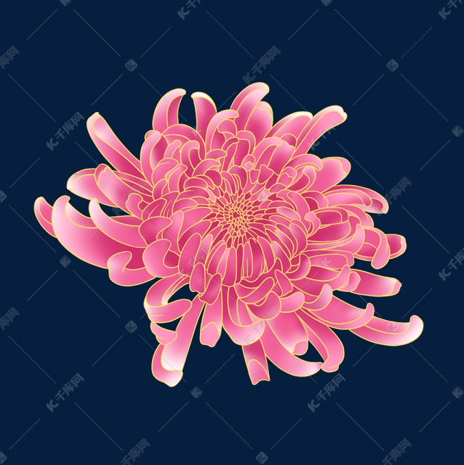 中秋节国潮风粉色菊花