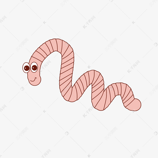 无脊椎动物蚯蚓