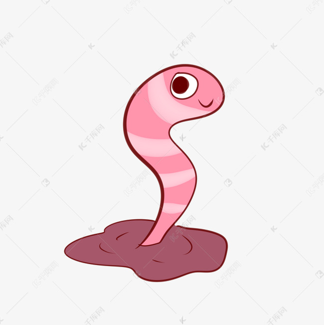 无脊椎动物蚯蚓