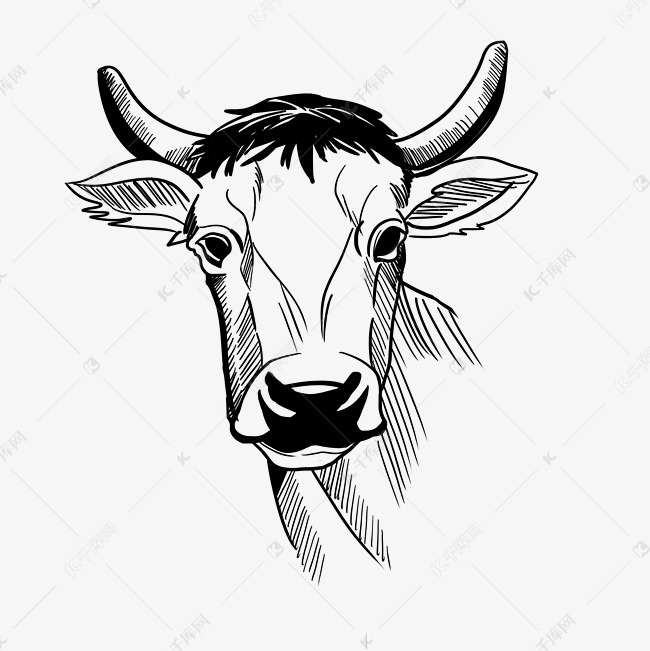 线描动物牛头