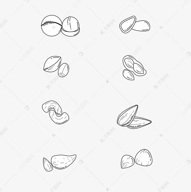 线描坚果图标