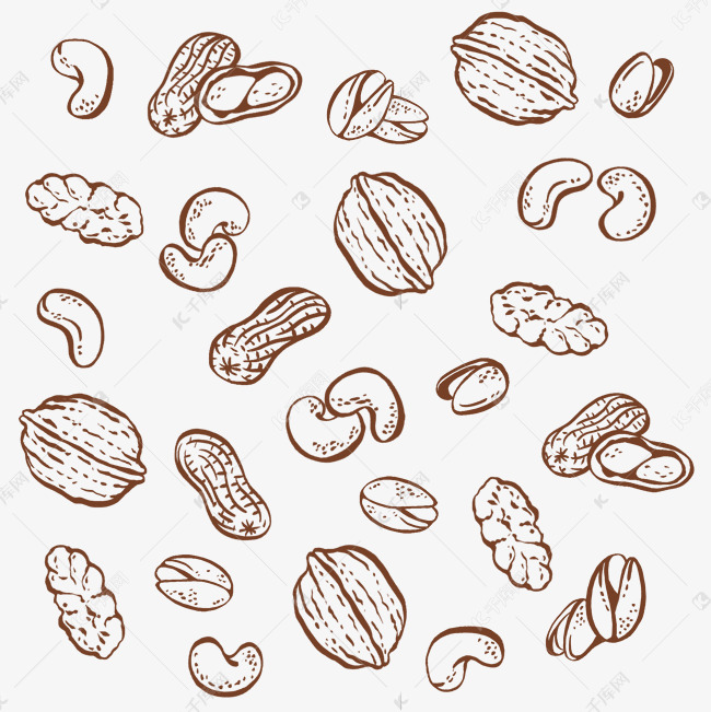 线描坚果底纹