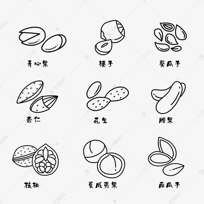 坚果图标素材图片免费下载-千库网