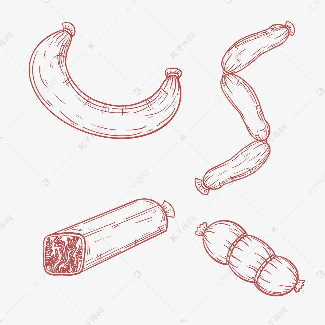 线描腊肠香肠