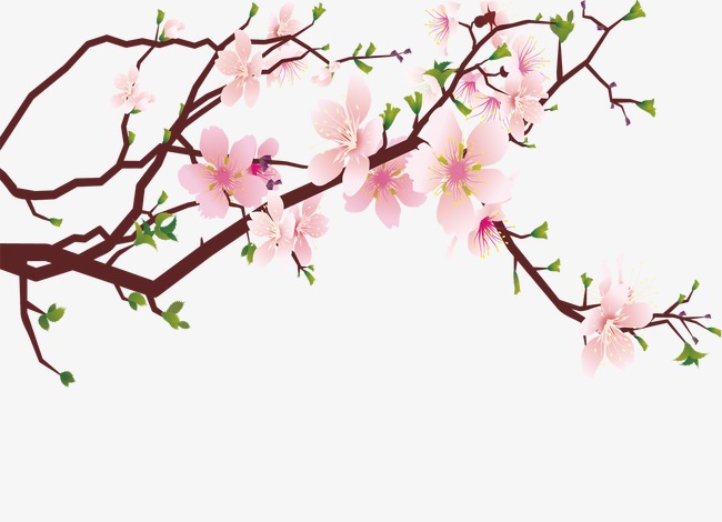 手绘桃花【高清装饰元素png素材】-90设计