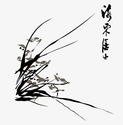 兰花背景_兰花png素材-90设计