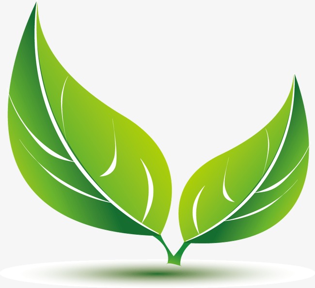 小绿叶绿色的叶子装饰【免抠元素png】-90设计网