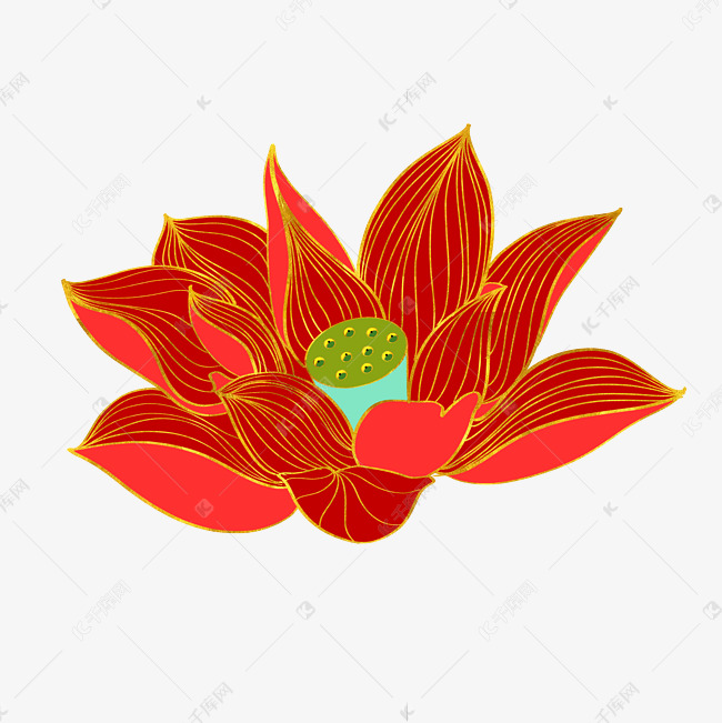 红色莲花花朵