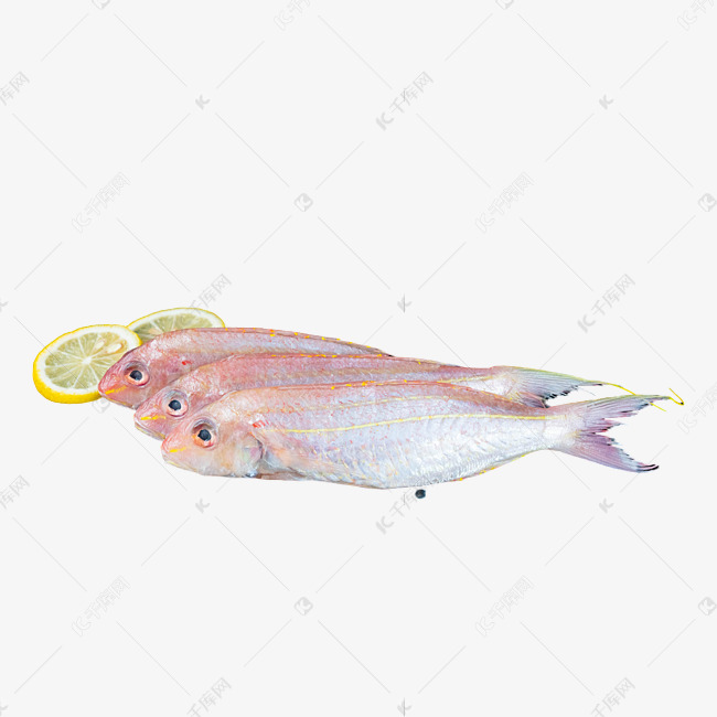 红杉鱼海鲜水产食材