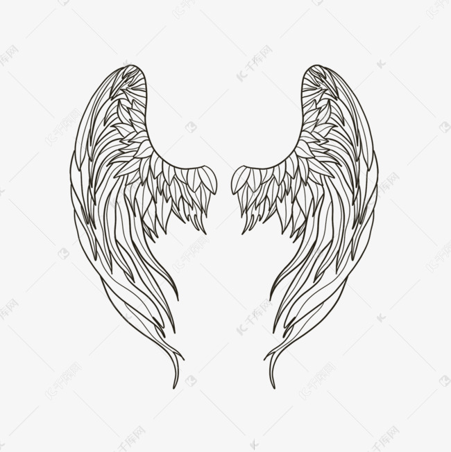 收拢翅膀手绘线描