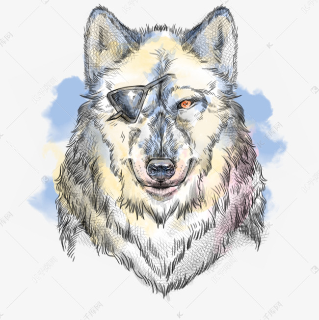 独眼狼头像彩色凶猛猛兽插画元素